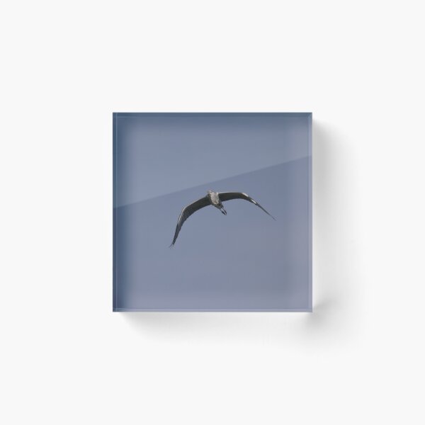 Item preview, Frozen reality - Beautiful nature 1137 designed and sold by deep-sea-birds.