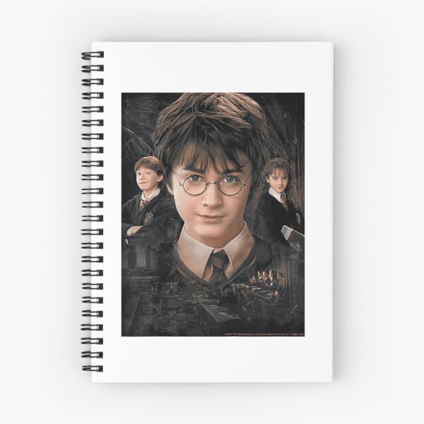 Artikelvorschau, Harry Potter Ron Hermine Klassenzimmerporträt entworfen und verkauft von Richard Sutton.