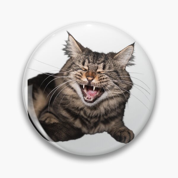 Item preview, Adorable Black Grey Maine Coon Kitten designed and sold by JureR.