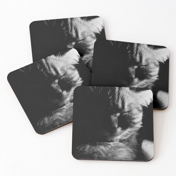 Item preview, Sleeping Cat In Black And White⁠ designed and sold by a1-x.