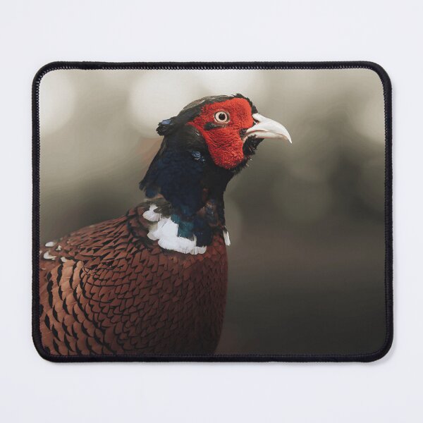 Item preview, Regal Pheasant Portrait designed and sold by wildframe-color.