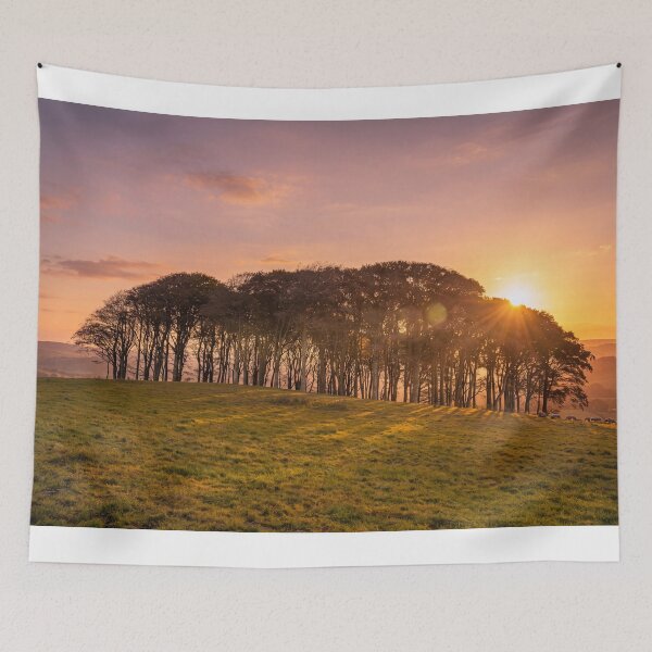 Item preview, Nearly Home Trees designed and sold by kathleenjean.