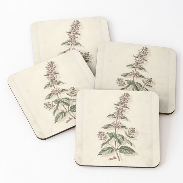 Item preview, Vintage Morning Glory Botanical Illustration | Antique Wildflower Print designed and sold by NuvoraNest.