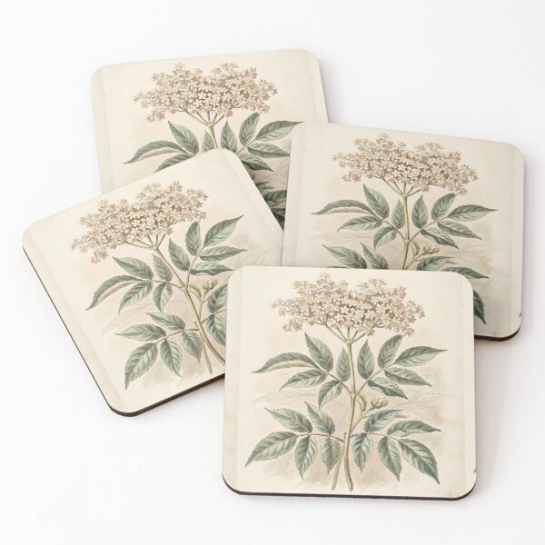 Item preview, Vintage Elderflower Botanical Illustration | Antique White Flower Print designed and sold by NuvoraNest.