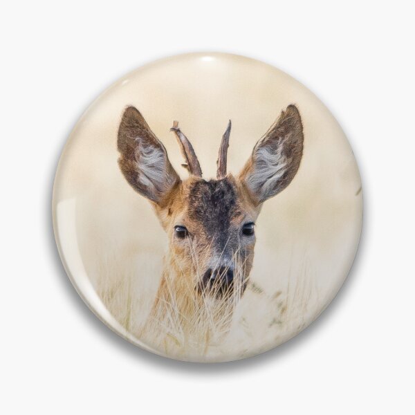 Item preview, roe deer designed and sold by Medve Photography & Design.