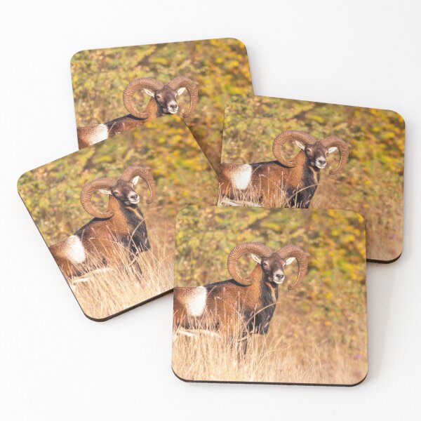 Item preview, Mouflon Ram in Golden Autumn designed and sold by Medve Photography & Design.