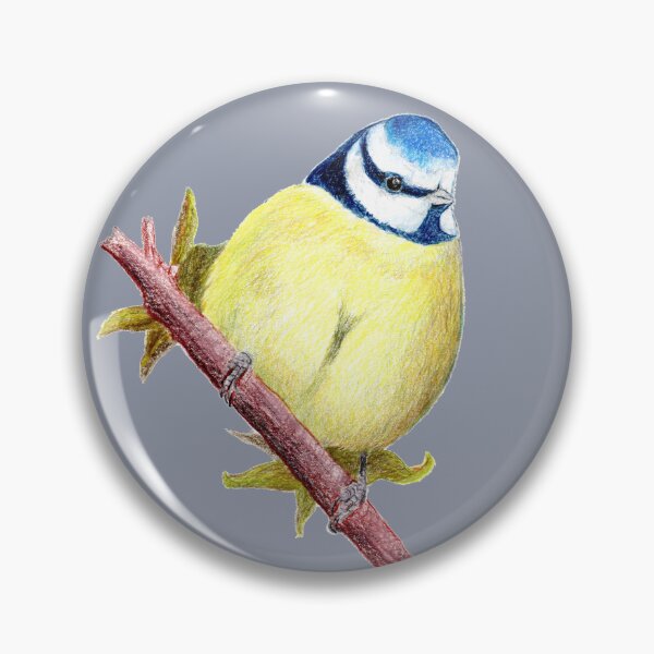 Item preview, Blue tit in colored pencil designed and sold by Kathryn Green.