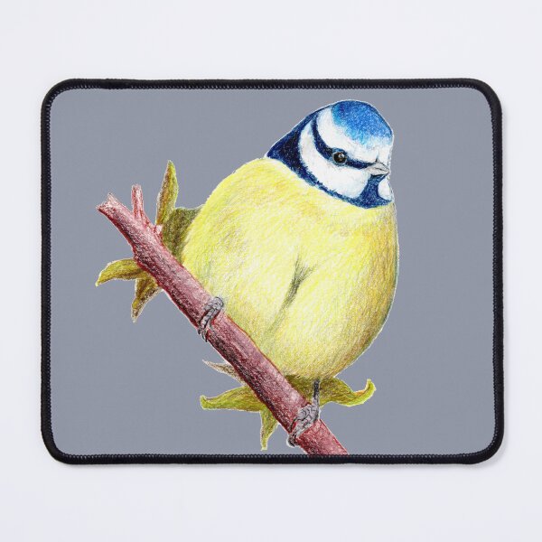 Item preview, Blue tit in colored pencil designed and sold by Kathryn Green.