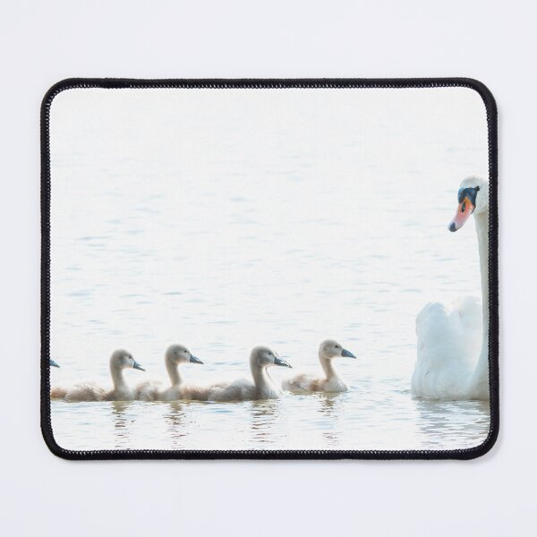 Item preview, Swan Mother and Five Cygnets designed and sold by gabormedve.