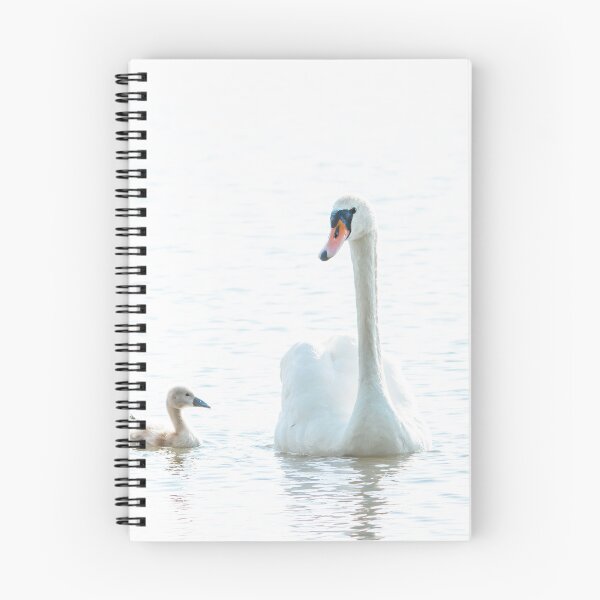 Item preview, Swan Mother and Five Cygnets designed and sold by gabormedve.