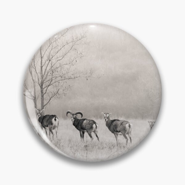 Artikelvorschau, Mufflonherde im Winternebel entworfen und verkauft von Medve Photography & Design.