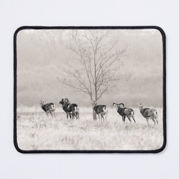 Item preview, Mouflon Herd in the Winter Mist designed and sold by gabormedve.