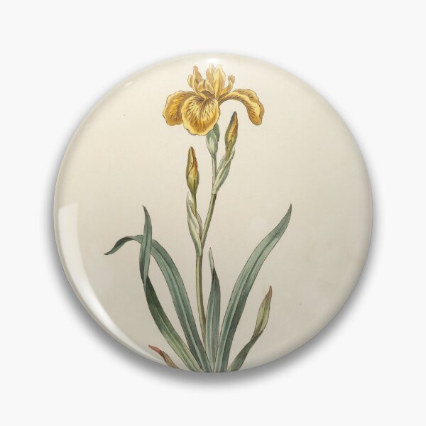 Item preview, Vintage Yellow Iris Botanical Illustration designed and sold by NuvoraNest.