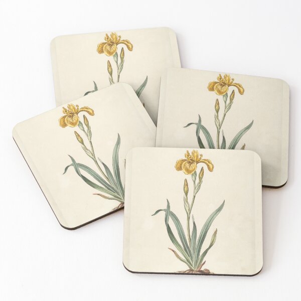 Item preview, Vintage Yellow Iris Botanical Illustration designed and sold by NuvoraNest.