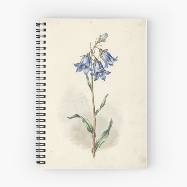 Item preview, Vintage Bluebell Botanical Illustration designed and sold by NuvoraNest.