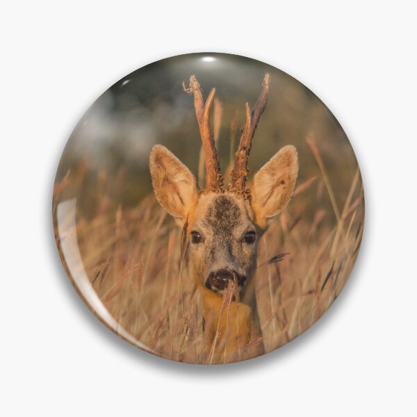 Item preview, Roe Buck in Golden Grass designed and sold by Medve Photography & Design.