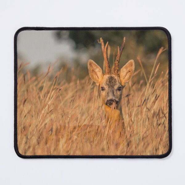 Item preview, Roe Buck in Golden Grass designed and sold by gabormedve.