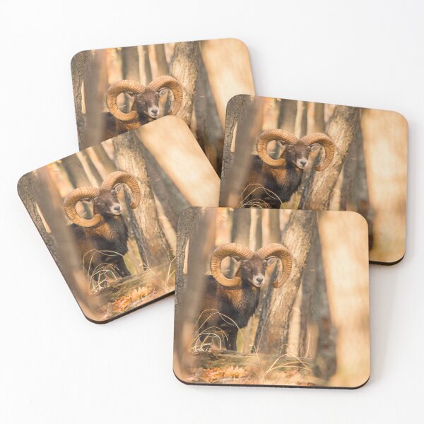 Item preview, Mouflon Ram in Golden Forest designed and sold by Medve Photography & Design.