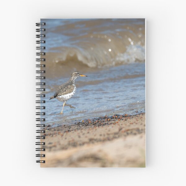 Item preview, Spotted Sandpiper Walking the Shoreline designed and sold by Debra Martz.