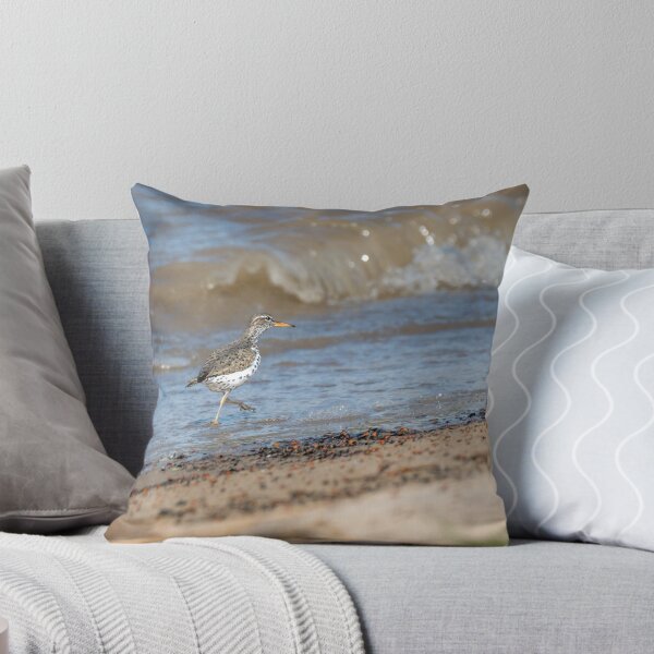 Item preview, Spotted Sandpiper Walking the Shoreline designed and sold by Debra Martz.