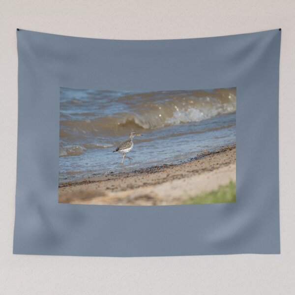 Item preview, Spotted Sandpiper Walking the Shoreline designed and sold by Debra Martz.