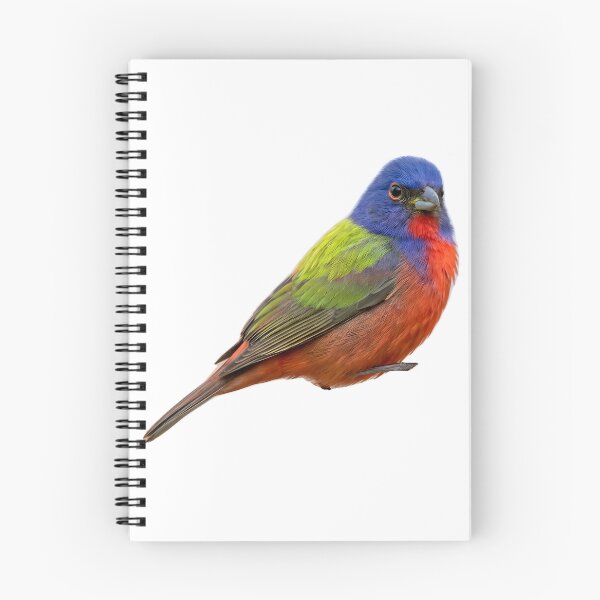 Item preview, Painted Bunting – Vivid Rainbow Songbird Portrait designed and sold by Helt-enkelt.