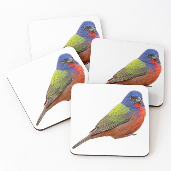 Item preview, Painted Bunting – Vivid Rainbow Songbird Portrait designed and sold by Helt-enkelt.