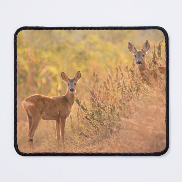 Item preview, Two Roe Deer in Golden Light designed and sold by Medve Photography & Design.