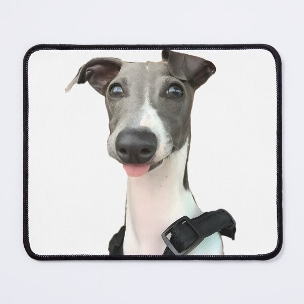 Item preview, Elegant Italian Greyhound Dog Art Design for Pet Lovers designed and sold by IseeRobots.