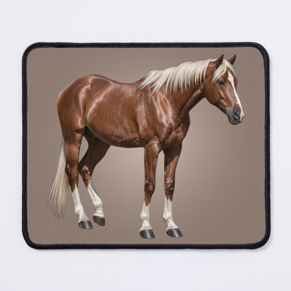 Item preview, The Aenos, a horse originating from Greece designed and sold by Cheval-de-coeur.