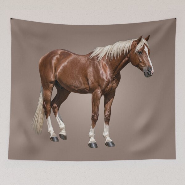 Item preview, The Aenos, a horse originating from Greece designed and sold by Cheval-de-coeur.