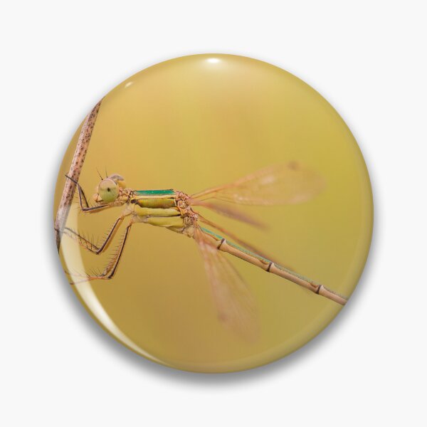 Item preview, Damselfly in Golden Light designed and sold by gabormedve.