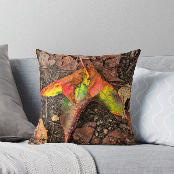 Item preview, Autumn Maple Leaf designed and sold by VnGphoto.