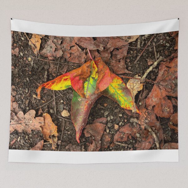 Item preview, Autumn Maple Leaf designed and sold by VnGphoto.