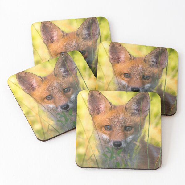 Item preview, Young Red Fox in Summer Grass designed and sold by gabormedve.