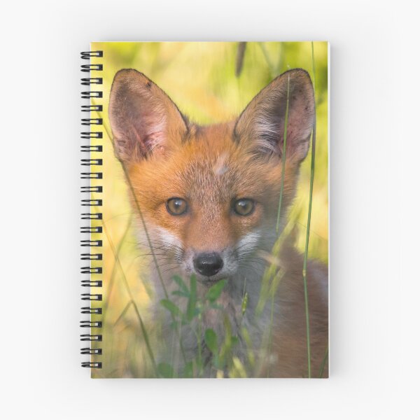 Item preview, Young Red Fox in Summer Grass designed and sold by gabormedve.