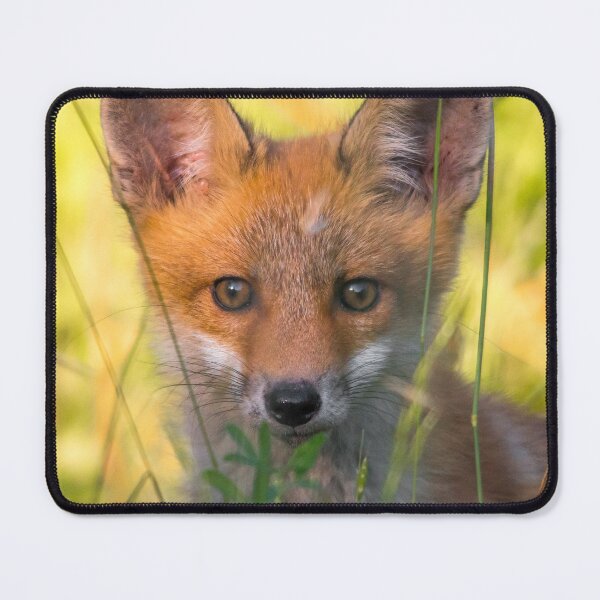 Item preview, Young Red Fox in Summer Grass designed and sold by gabormedve.