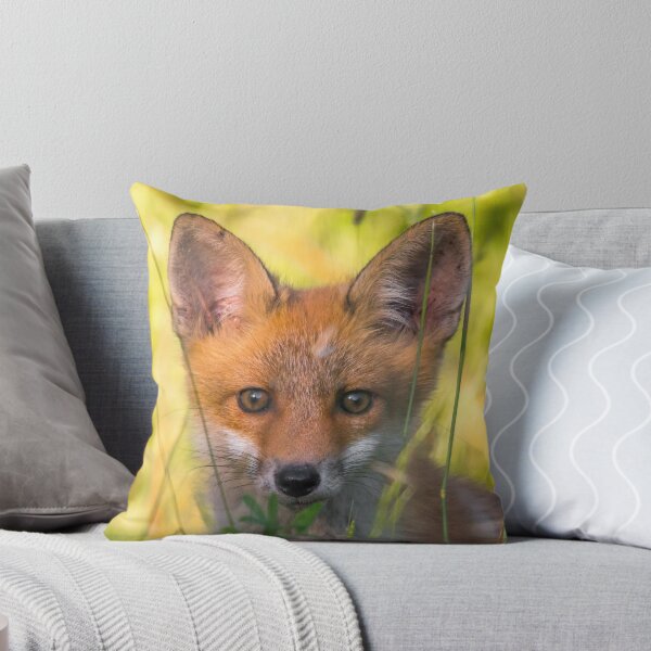 Item preview, Young Red Fox in Summer Grass designed and sold by gabormedve.
