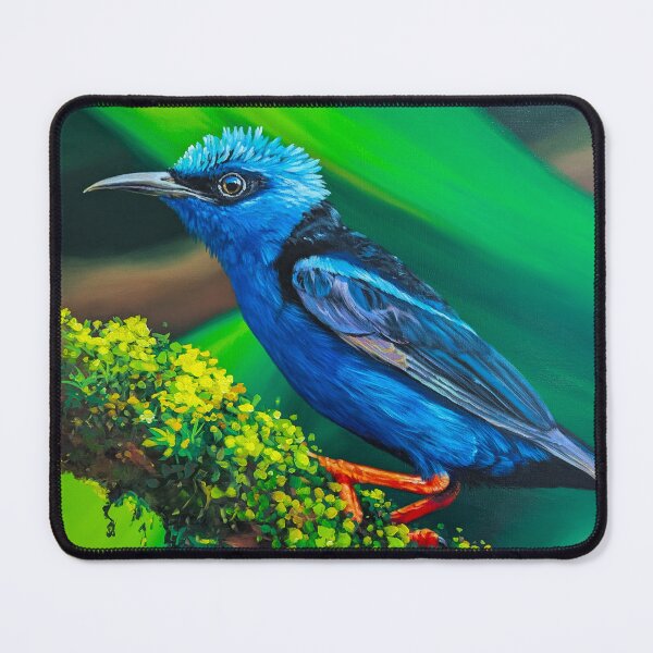 Item preview, Boquete Panama Bird Paintings Red Legged Honeycreeper by Alvaro Miranda  designed and sold by Alvaro-Miranda.