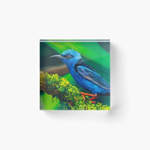 Item preview, Boquete Panama Bird Paintings Red Legged Honeycreeper by Alvaro Miranda  designed and sold by Alvaro-Miranda.