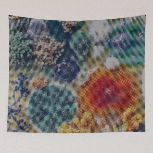 Item preview, Pop designed and sold by H4ppy01.
