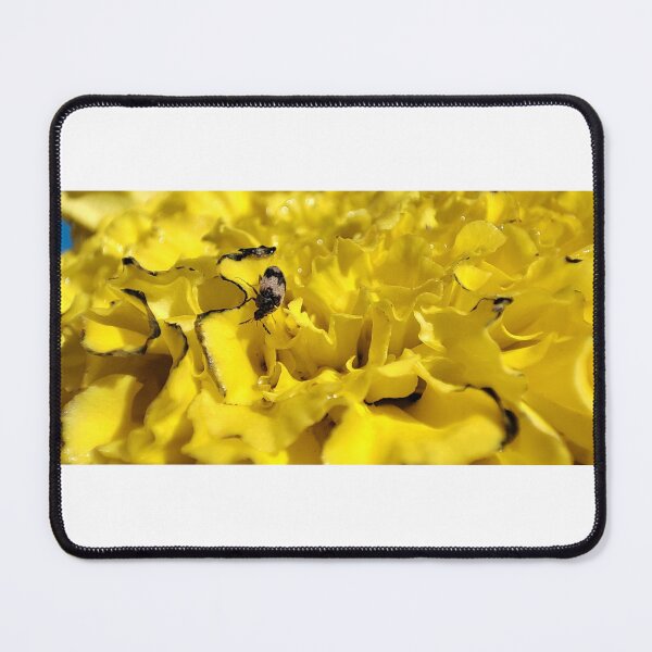 Item preview, The Bee designed and sold by SunnyLens.