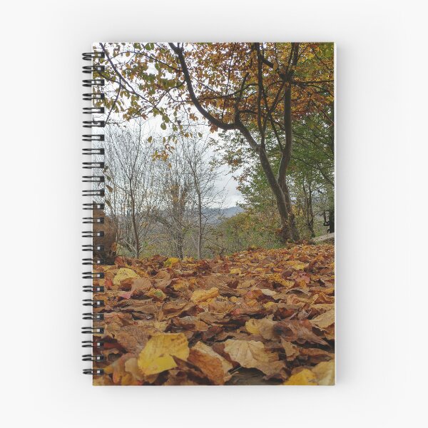 Item preview, Fall season shoot designed and sold by SunnyLens.