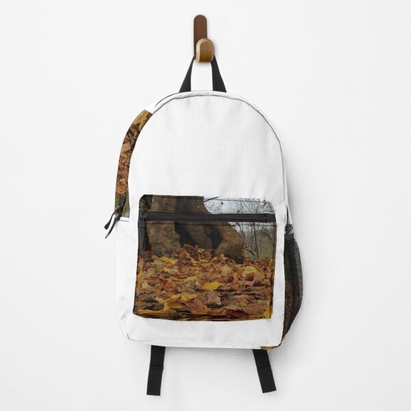 Item preview, Fall season shoot designed and sold by SunnyLens.