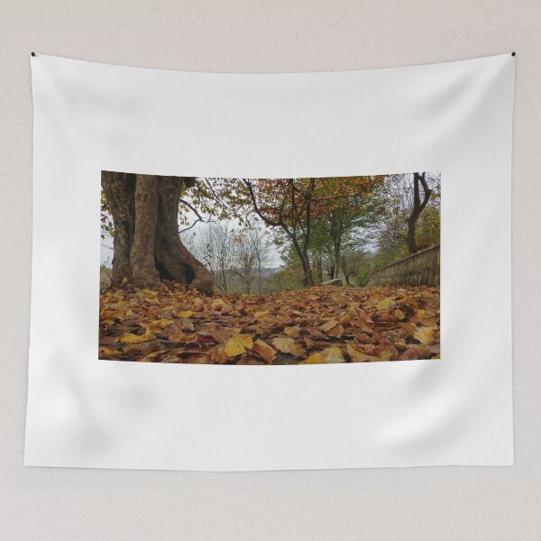 Item preview, Fall season shoot designed and sold by SunnyLens.