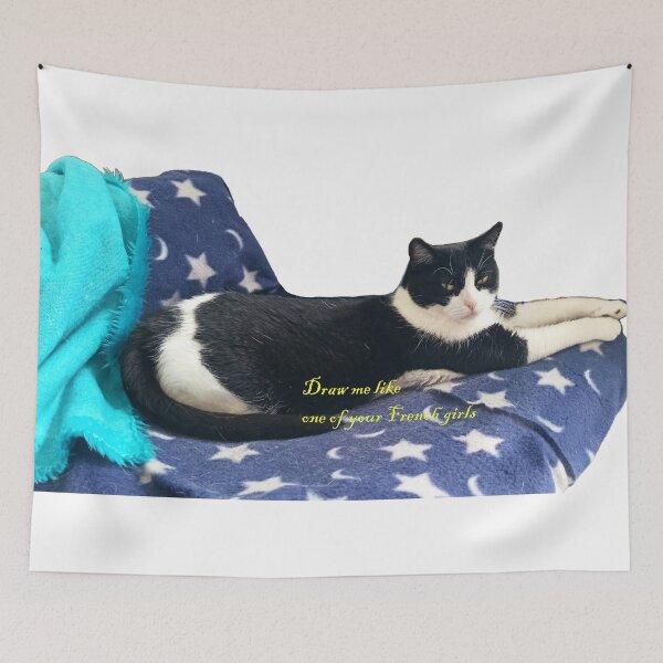 Item preview, Draw Me Like One of Your French Girls - Funny Reclining Cat designed and sold by Bambledriel.