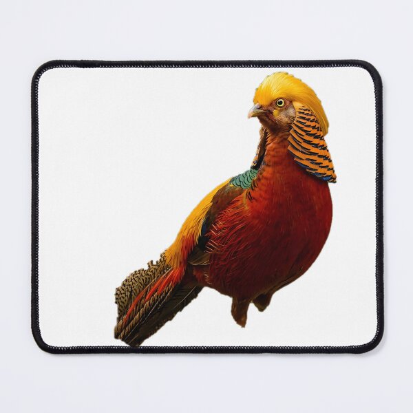 Item preview, Golden Pheasant – Vivid Gold & Scarlet Portrait designed and sold by Helt-enkelt.