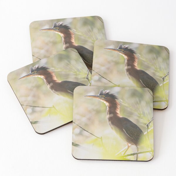 Item preview, Green Heron designed and sold by smacdonn.