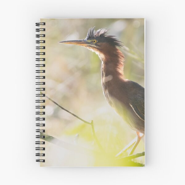Item preview, Green Heron designed and sold by smacdonn.
