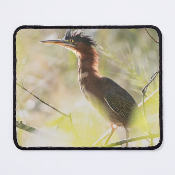 Item preview, Green Heron designed and sold by smacdonn.